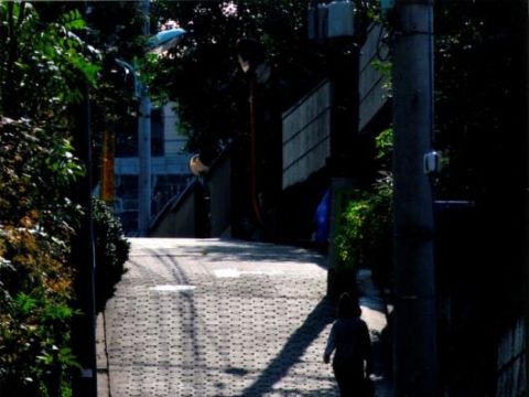 No.5 The scariest slope in Minato City: Yureizaka