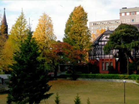No.8 Campus in late autumn – Meiji Gakuin University