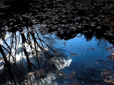 No.11 Takanawa Park’s pond