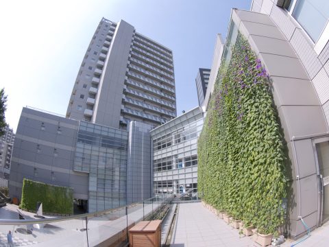 No.15 Takanawa Library – Green curtain