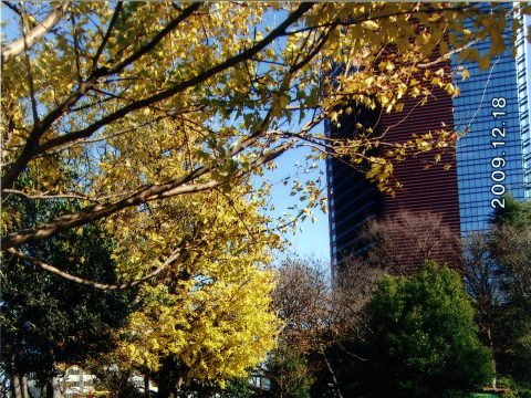 No.25 Kamezuka in early winter