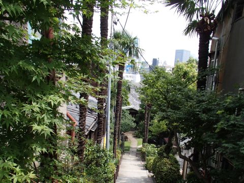 No.40 Hoanji's stairs