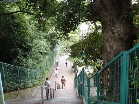 No.50 From an elevated area to a park on level ground