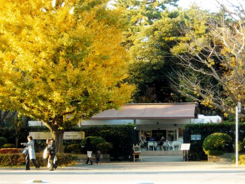 No.58 Teien Art Museum from the main street