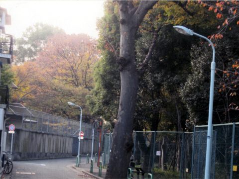 No.68 From the former Takanawa Imperial Residence (former residence of Prince Takamatsu)