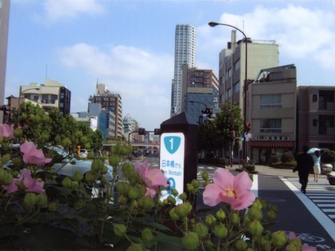 No.74 Takanawadai in summer – Takanawadai intersection