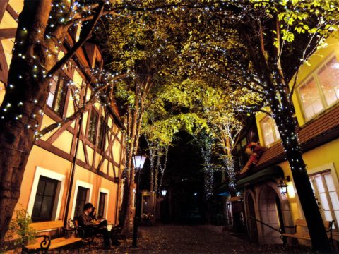 No.76 Princess Garten