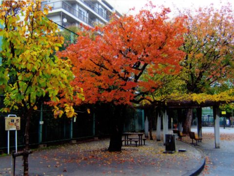 No.81 Children’s park in front of the Sengakuji