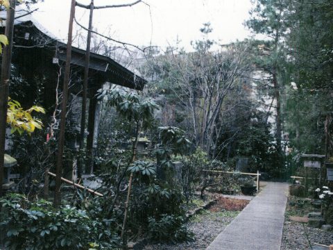 No.108 A small stroll