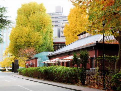 No.117 Autumn scene    Institute of Medical Science, University of Tokyo
