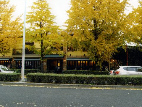 No.125 Platinum Street at twilight