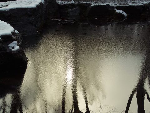 No.141 Takanawa Park's pond patterned with snowflakes