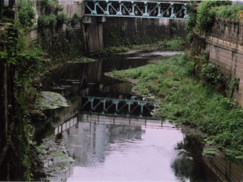 No.154 Clear stream returns – Furukawa River