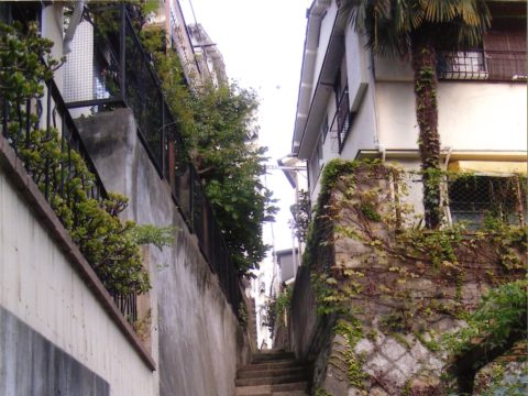 No.171 Narrow stairs – Behind Shoko-ji