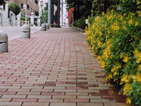 No.174 Leg strength support – Meijizaka