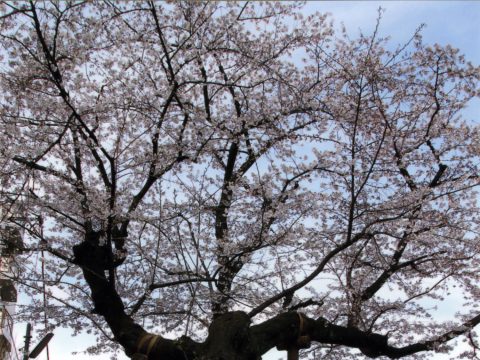 No.180 Develop new ideas by studying the past – Raijin-yama Children's Playground