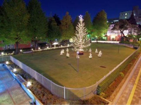 No.188 Meiji Gakuin's Christmas tree