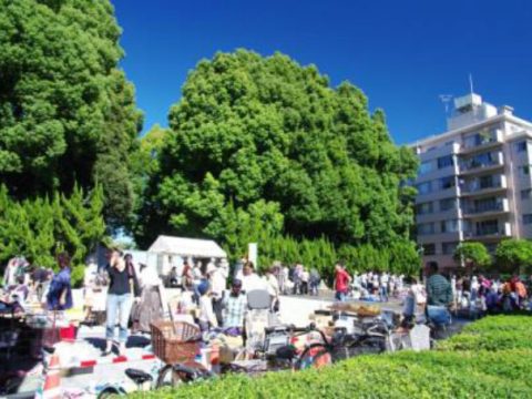 No.216 In front of the Takanawa Imperial Residence (former residence of Prince Takamatsu)