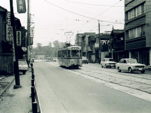 No.263 Shoshuji's Rokkakudo (hexagonal hall)
