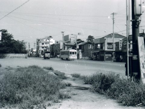 No.264 Toden streetcar running at a leisurely pace along Meguro Street
