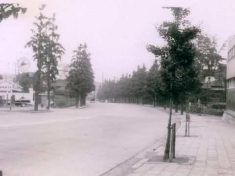 No.314 A gas station and what is now Platinum Street