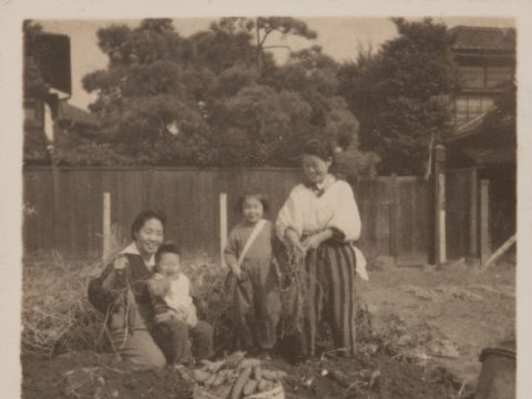 No.370 Harvesting in wartime