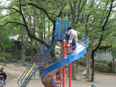 No.488 I'm the exclusive occupier!