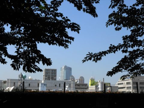 No.555 View from Raijin-yama Children's Playground