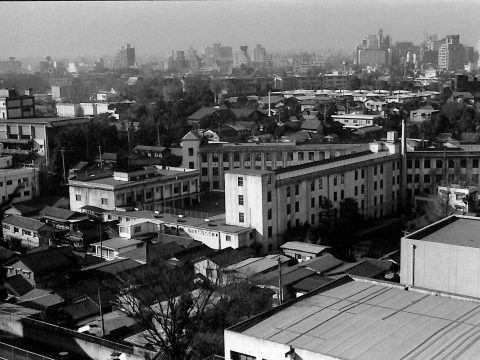 No.621 My alma mater, Shirokane Elementary School