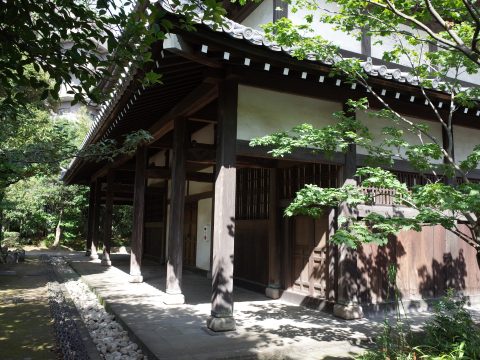 No.673 Back of Shiunzan Zuisho Zen Temple
