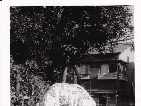 No.814 Baby in stroller