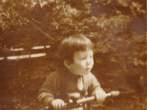 No.873 Wooden tricycle