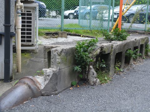 No.878 What is this…?