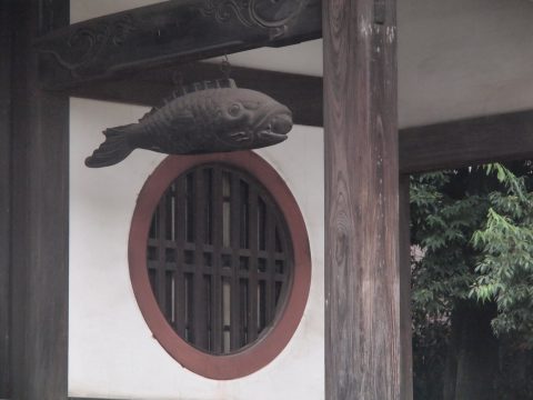 No.900 Fish that never sleeps