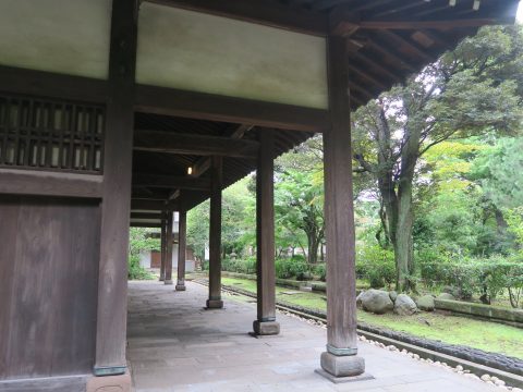 No.906 The pillars supporting Daio Hoden from behind