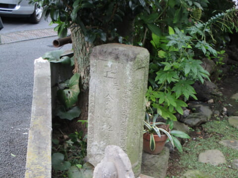 No.942 It came outside specially for us