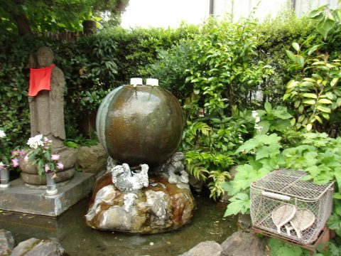 No.1081 Share the good fortune of General Shinjuku