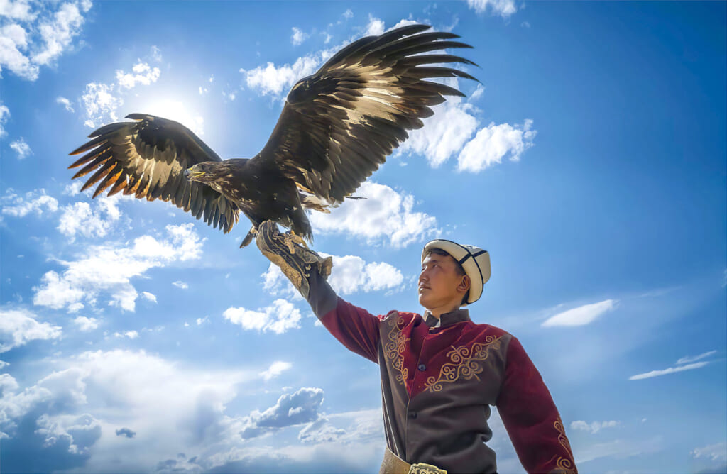 Golden eagle hunting