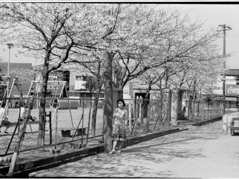 No.1164 Sarumachi Park and My Mother