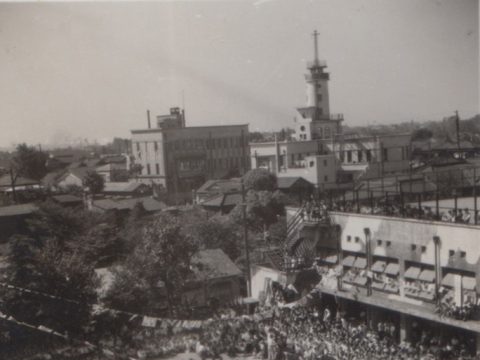 No.1177 迷彩に塗られた高輪台小学校